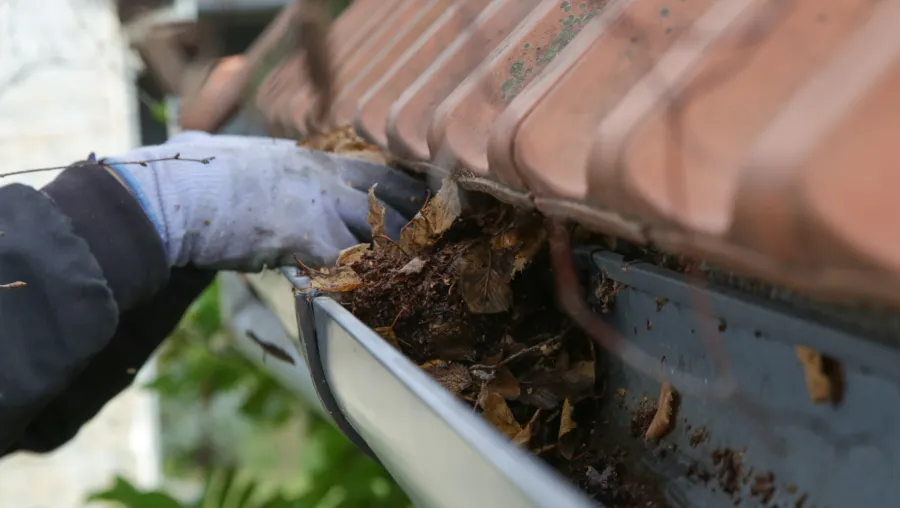 new gutter replace